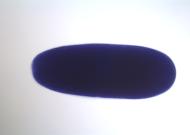 AT17867-dg