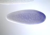 PC00008