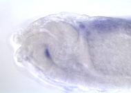 PC00032