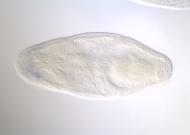 PC00103