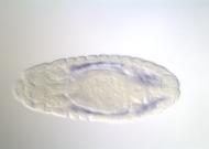 PC00158
