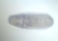 PC00198