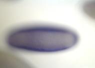 LD05688